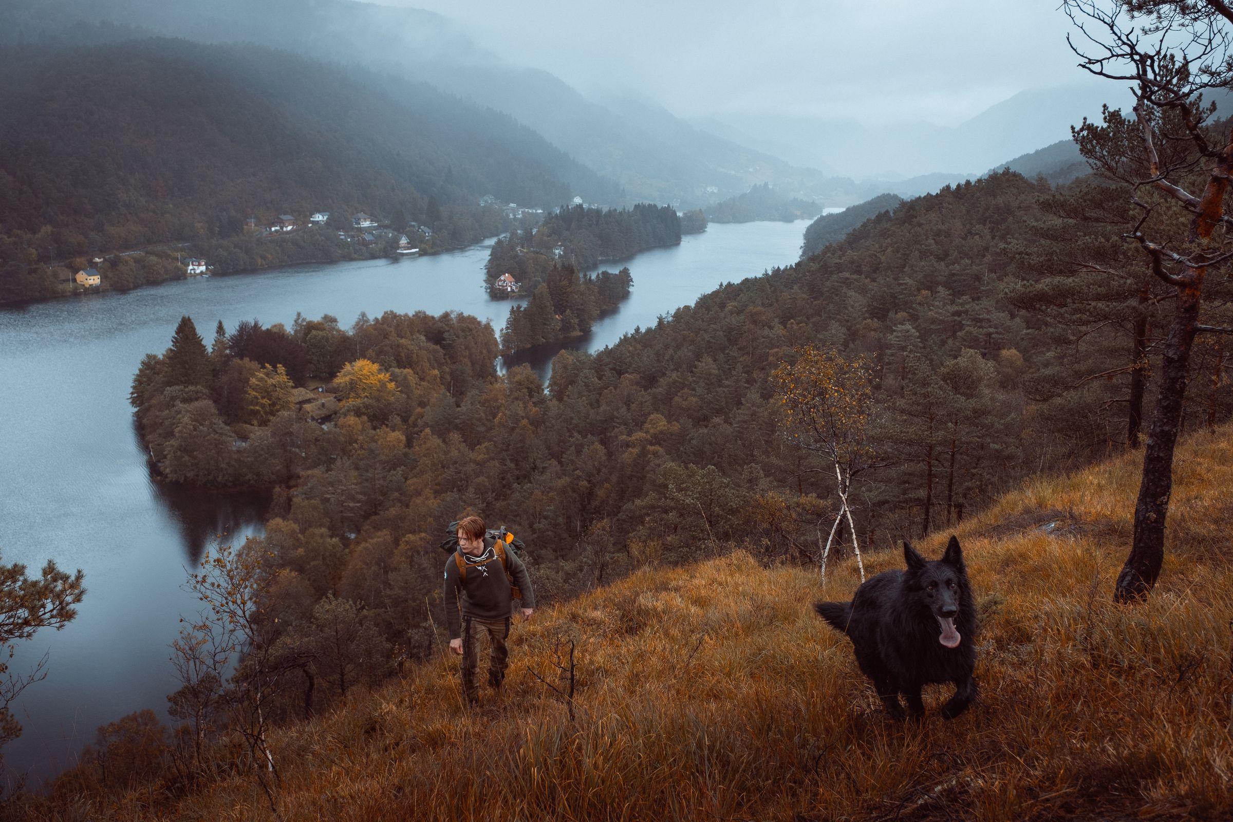 Up the ridge, in company